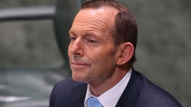 If Tony Abbott is calling for a mature debate on anything, it is presumed he will not be participating.