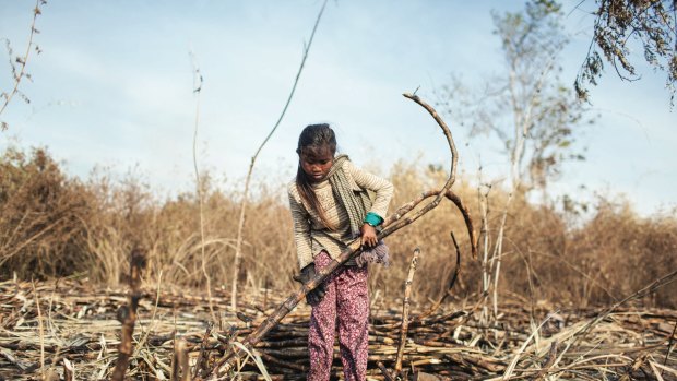 ANZ financed a sugar plantation in Cambodia that allegedly used child labour.