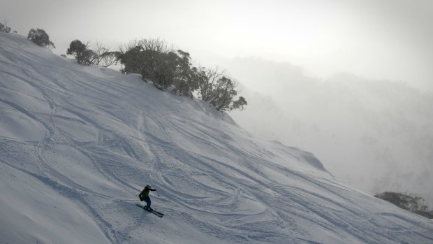 Thredbo's ''The Bowl'' is due for some more snow.
