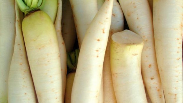 Daikon owes its firmness to its cells being pumped up with water.