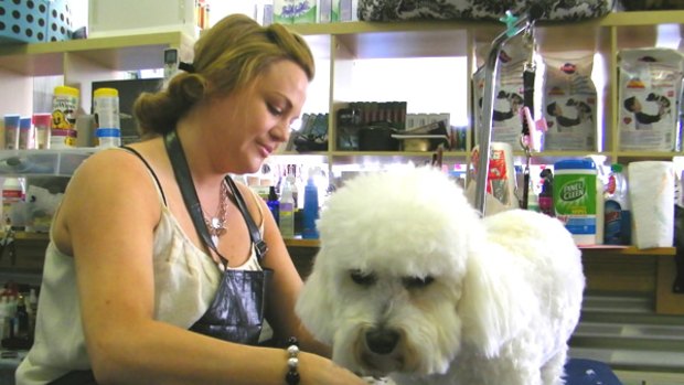 Briony Sykes trims a client at her pooch boutique, La Petterie, in the Victorian coastal town of Queenscliff.