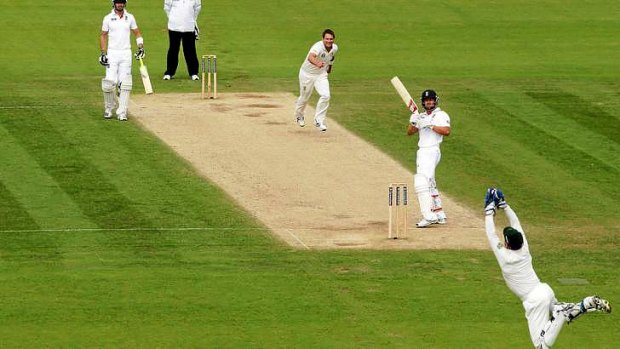 Brad Haddin leaps high to dismiss Jonathan Trott from Harris' bowling.