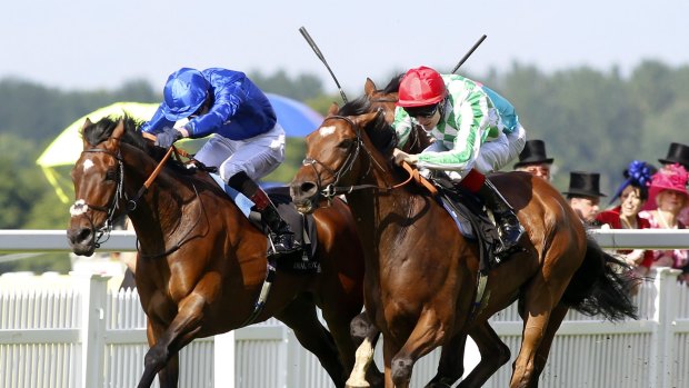 Melbourne Cup shot: Kinema ridden by Fran Berry, right, gets the better of Elite Army ridden by William Buick to win The Duke of Edinburgh Stakes at Royal Ascot.