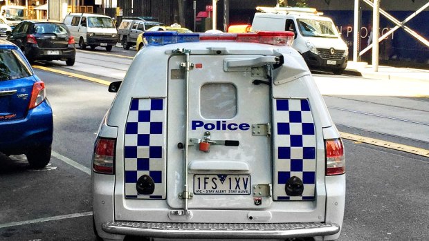 Two young boys are facing 100 charges between then after being arrested by police in Heidelberg West.