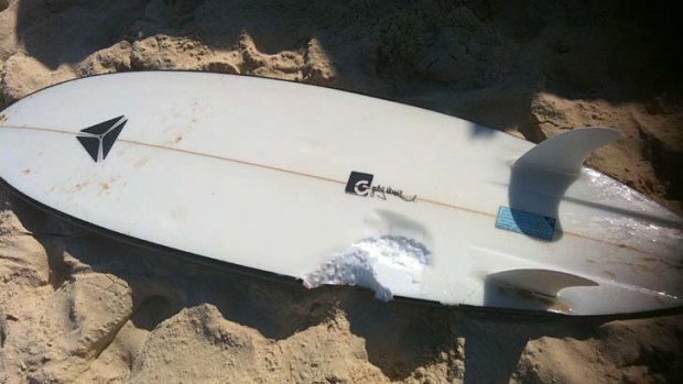 Shark attack ... the bite mark in Glen ‘‘Lenny’’ Folkard's surfboard.