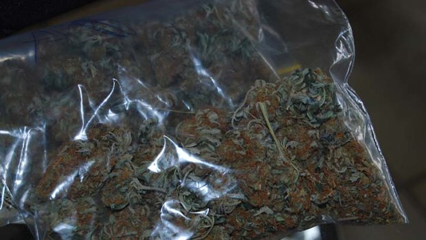 Drug haul ... police allegedly found cannabis.