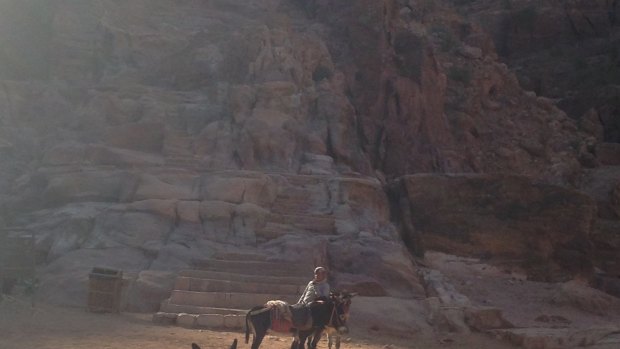Donkeys at Petra, Jordan
