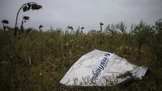 A piece of wreckage of the downed Malaysia Airlines Flight MH17 is pictured near the village of Hrabove (Grabovo) in Donetsk region.