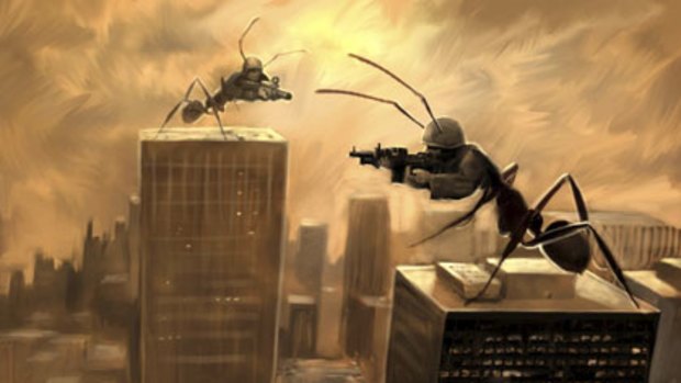 Ant battle