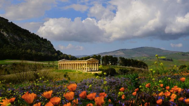 Lap of the gods: Temple of Segesta in a wildflower meadow, in Trapani.