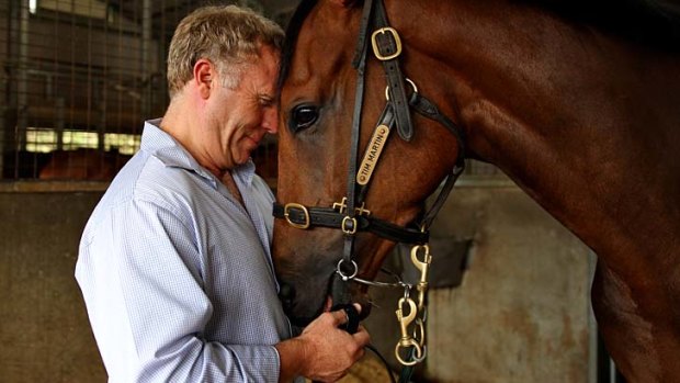 Unknown quantity &#8230; Tim Martin with Hunter Jack at his Rosehill yard.