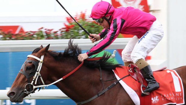 Under control: Munce and Sizzling waltz away with the Queensland Guineas at Eagle Farm.