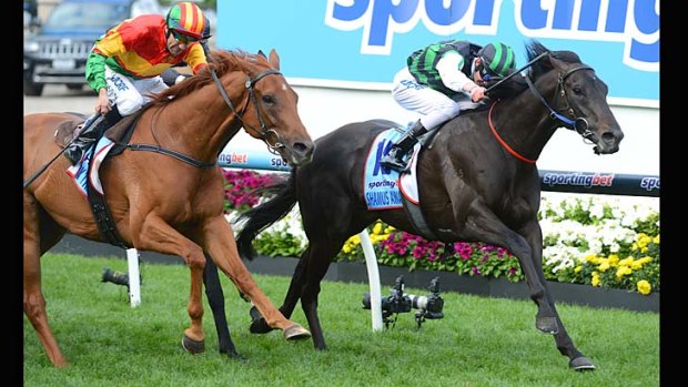 Bolter: Chad Schofield boots Shamus Award to victory in the Cox Plate.
