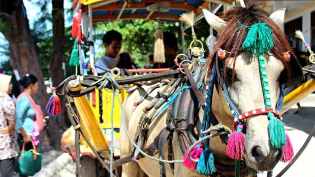 Gili T taxis are horse-drawn carts.