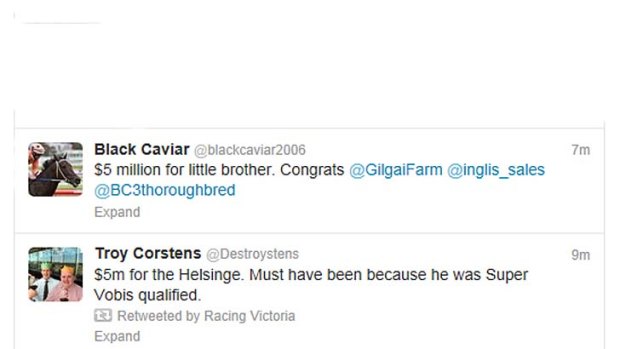 Black Caviar reacts to the news.