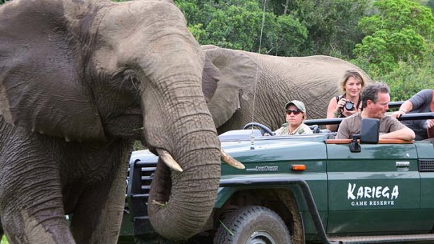 Close encounters with elephants is a common experience.