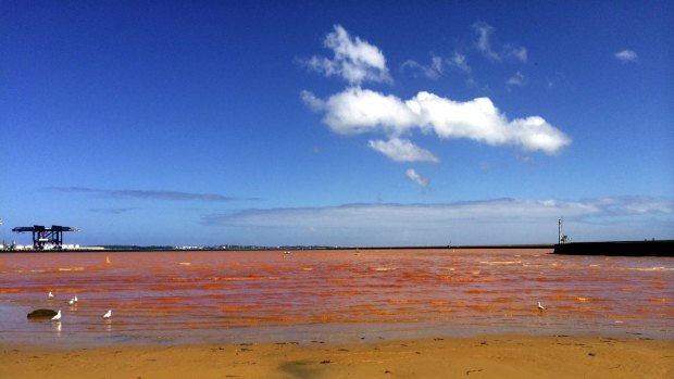 The orange plume that invaded Foreshore Beach at Port Botany in February.