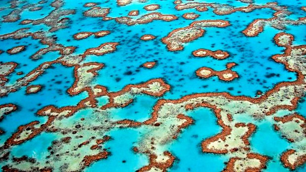 The reef has been under significant stress in recent decades and faces future threats from planned port development and climate change.