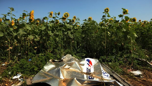 Sunflowers surround the MH17 crash site in East Ukraine. 