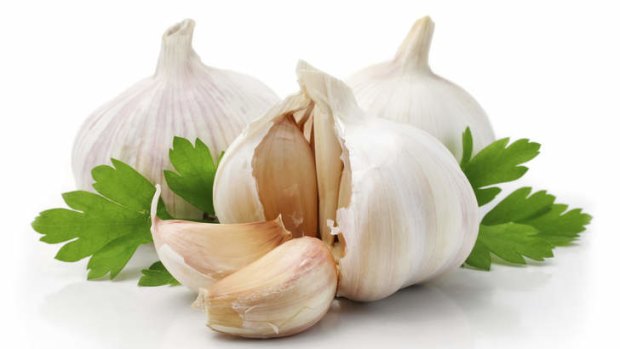 More evidence required: scientists hesitate to endorse garlic as a cold fighter on the basis of a single study.