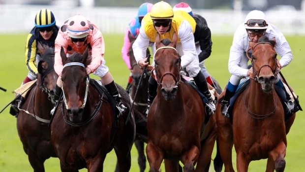 Nail biter ... Black Caviar, left, holds off fast-finishing Moonlight Cloud, right, to win the Diamond Jubilee Stakes at Royal Ascot.