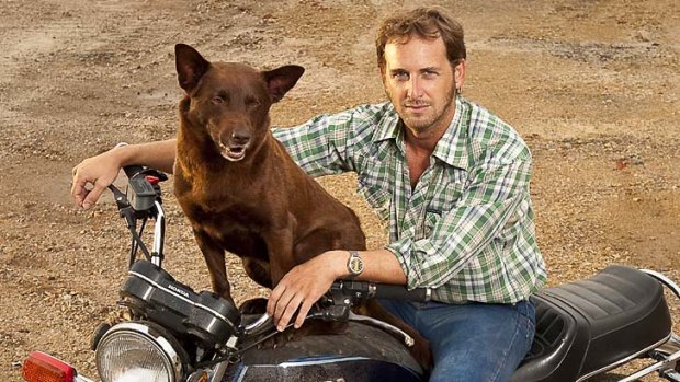 A dog of a film - but in a good way: Drifter John (Josh Lucas) strikes up a friendship with a beloved stray dog (Koko) in the wonderful new Australian film <i>Red Dog</i>.