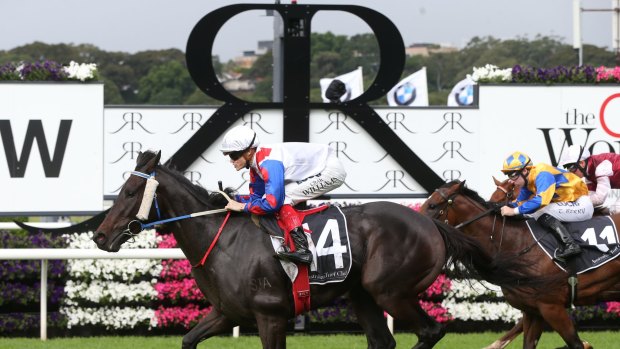 Enough pace: trainer Robert Smerdon is happy with Politeness heading towards Saturday's Myer Classic.