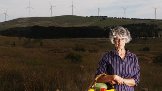 The next battleground ...  big business is behind the wind farm development near Ruth Corrigan’s home.  ‘‘We didn’t have a chance,’’ she said.