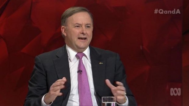 Anthony Albanese on same-sex marriage: "People will look back and wonder what the fuss was about."