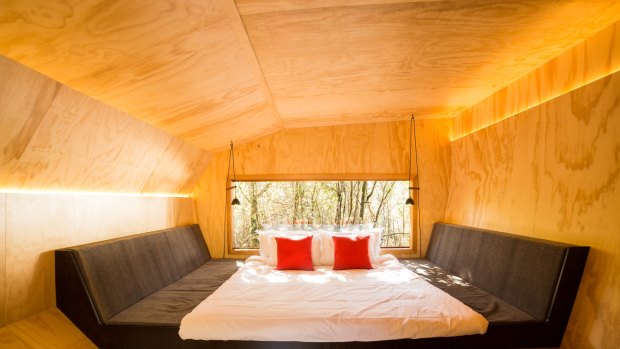 The inside story of one of the Blue Derby Pods.