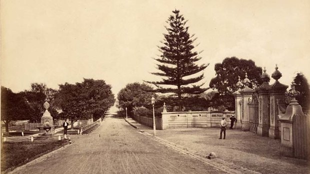 Fig Tree Avenue, circa 1882.