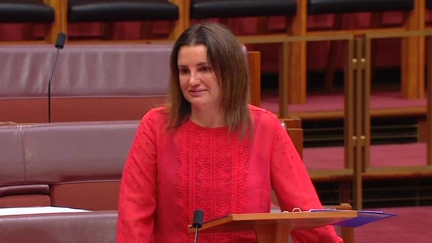 Senator Jacqui Lambie is keen for children with disabilities to remain in mainstream classrooms.