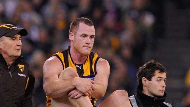 He's back: Hawthorn's Jarryd Roughead has returned from injury.