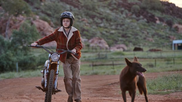 Levi Miller (Mick) and the young kelpie in <i>Red Dog: True Blue</i>.