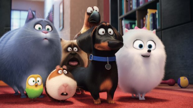 <i>The Secret Life of Pets</i> is a corker of an animation.