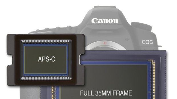 Full-frame sensors have more light receptors but are considerably more expensive.