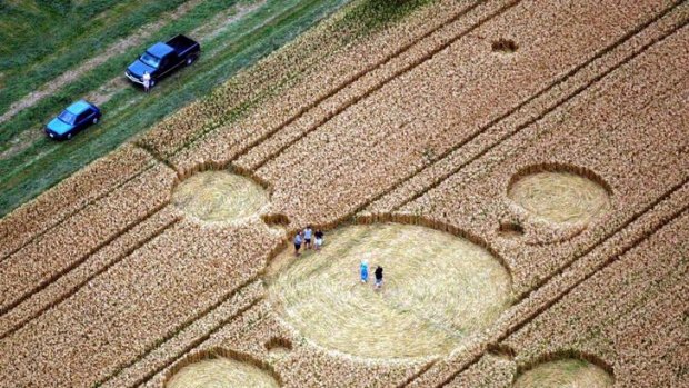 People stand in crop circles.