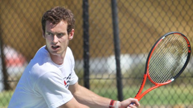 Hot prospect ... Andry Murray has been training in stifling heat so as to start the year with a bang at the Australian Open.