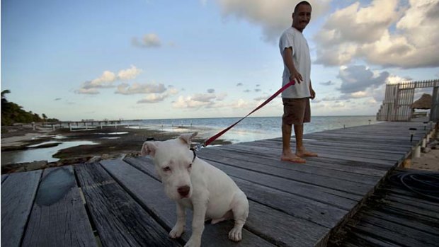 John McAfee's dog named "Soltan" and a security guard stand on a deck in front of McAfee's home.