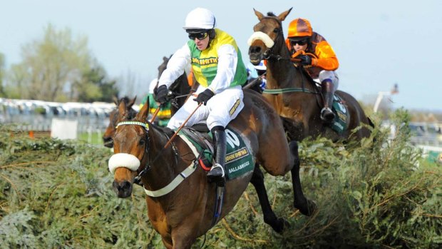 Exhausted ... Ballabriggs, ridden by Jason Maguire, jumps the last  fence on the way to win the Grand National.