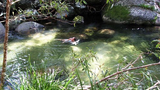 Heritage sights ... a swim in Mossman Gorge.