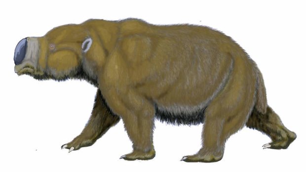 Weighed about a tonne: An artist's impression of the diprotodontid, described as a giant wombat.