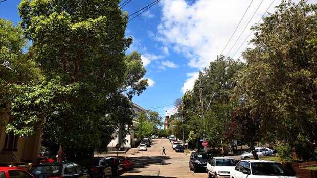 For the chop &#8230; Marrickville councillors vote Tuesday night on a plan to remove almost 1600 unhealthy and risky trees, a move the Greens say prioritises concrete.