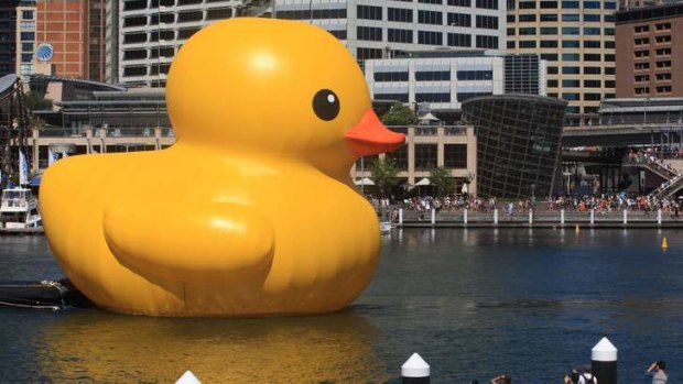 Parramatta bound:  Florentijn Hofman's Rubber Duck at this year's festival.