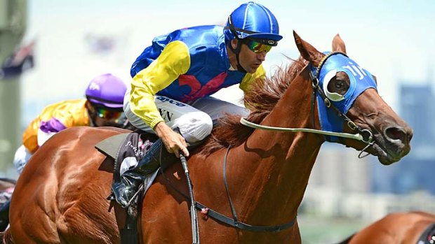 Dwayne Dunn rides Alcohol to victory in the Spotless Handicap at Flemington on Saturday.