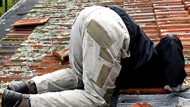 Possum catcher Anthony Knight inspects a roof space.