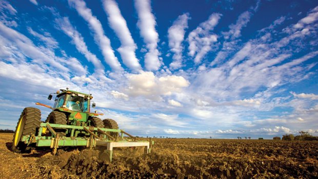 Cloudy forecast: Australia's food bowl expectations are 'misguided', according to NAB's Alan Oster.