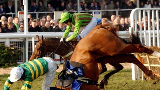 Risky business ... McCoy thrown from No Where to Hide at Cheltenham Racecourse in 2006.
