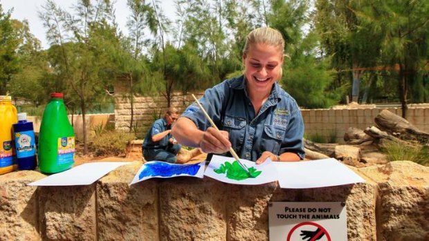 Zookeeper Caitlin Thomas prepares paint for the meerkats.