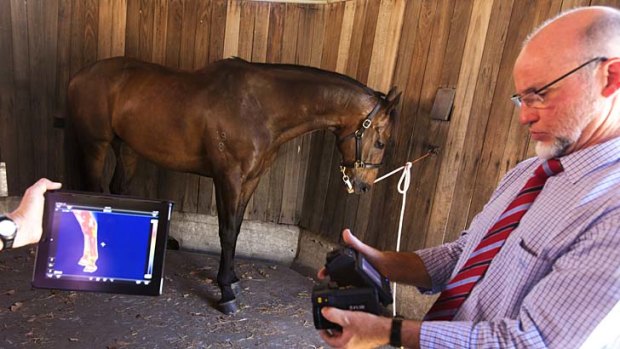 Getting the picture: Technician Sean Towner checks an image, also seen on the larger screen, of a horse's legs.